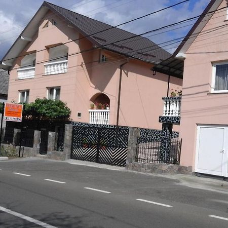 Casa Anca Hotel Sighetu Marmatiei Luaran gambar