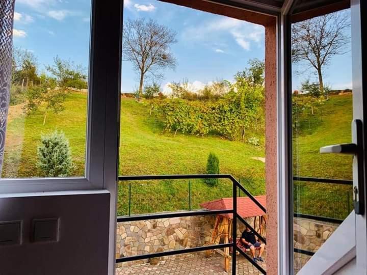Casa Anca Hotel Sighetu Marmatiei Luaran gambar