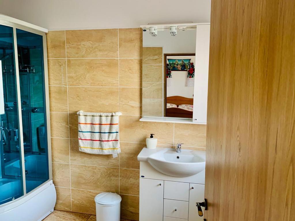 Casa Anca Hotel Sighetu Marmatiei Luaran gambar