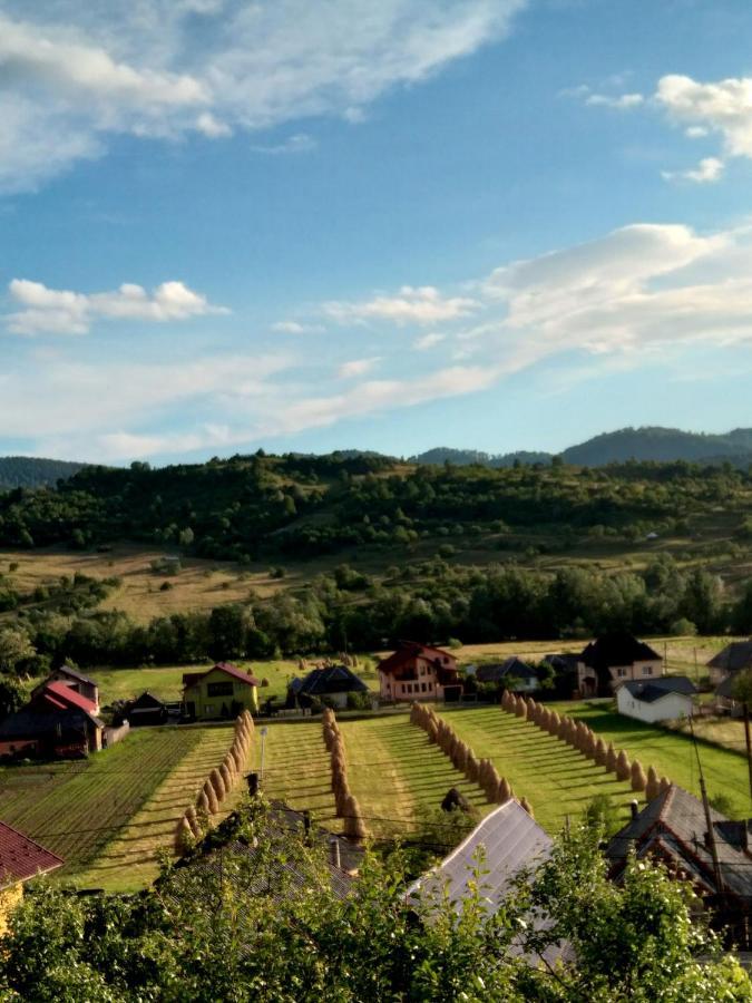 Casa Anca Hotel Sighetu Marmatiei Luaran gambar