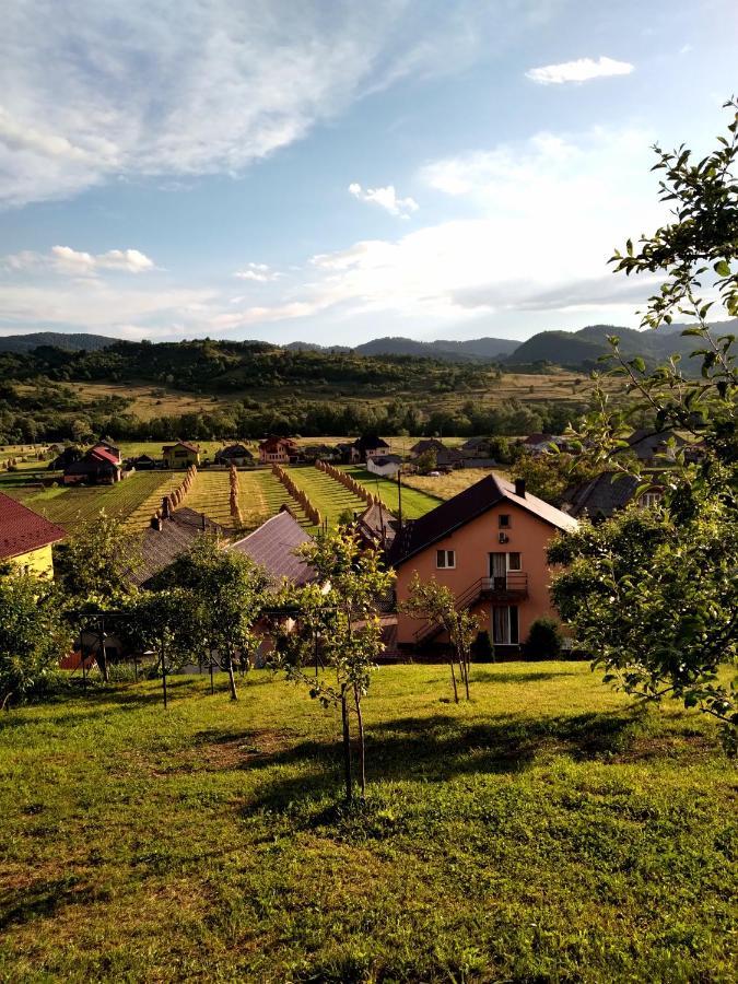 Casa Anca Hotel Sighetu Marmatiei Luaran gambar