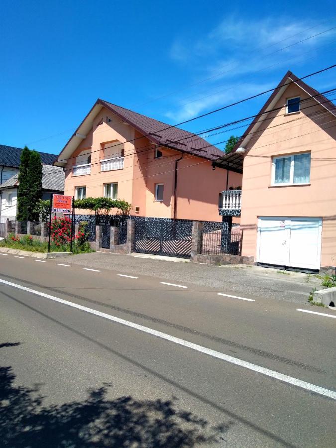 Casa Anca Hotel Sighetu Marmatiei Luaran gambar
