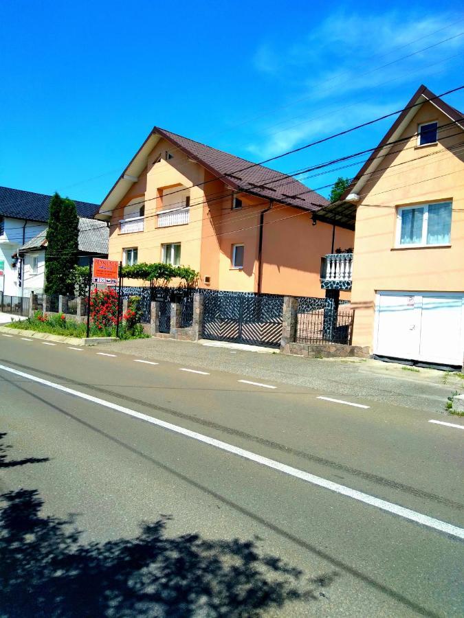 Casa Anca Hotel Sighetu Marmatiei Luaran gambar