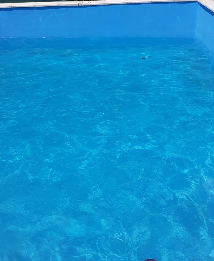 Casa Anca Hotel Sighetu Marmatiei Luaran gambar